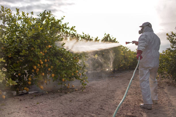Professional Pest Control in Ladoga, IN
