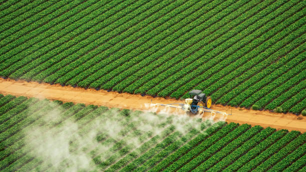 Best Pest Control for Businesses  in Ladoga, IN