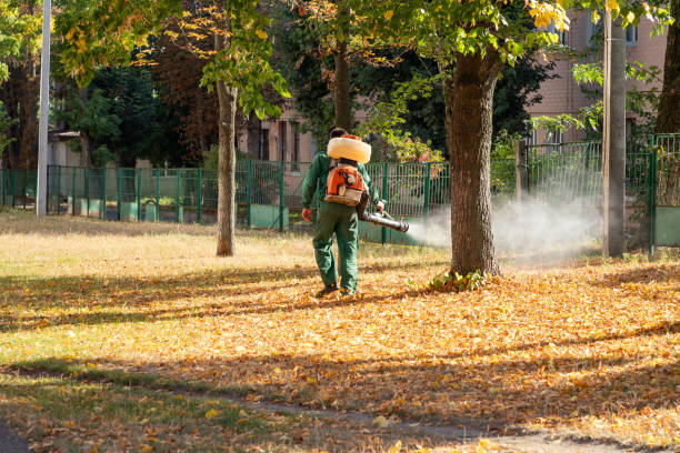 Best Local Pest Control Services  in Ladoga, IN