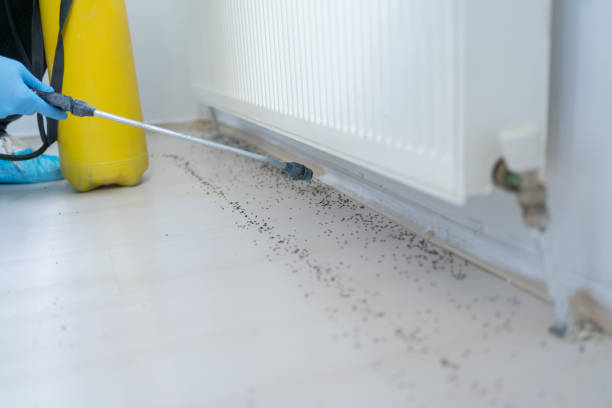 Best Pest Removal Services  in Ladoga, IN