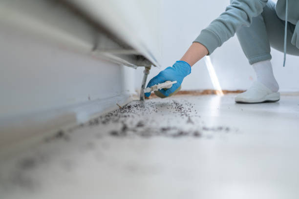 Best Exterminator Services  in Ladoga, IN
